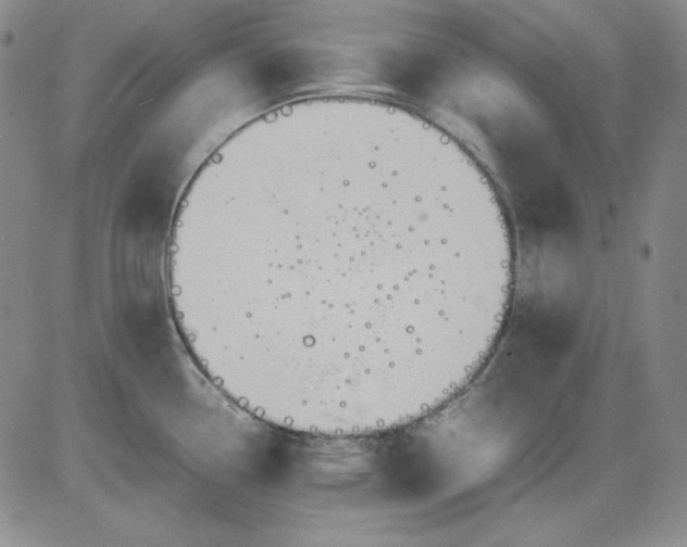 X0000080661338200612301326