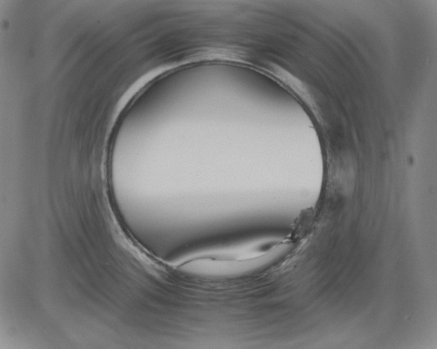 X0000080661339200612301326