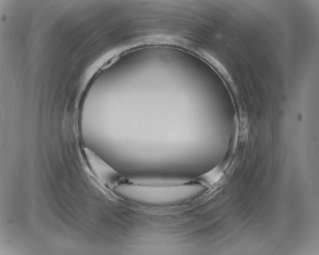 X0000080661342200612301326
