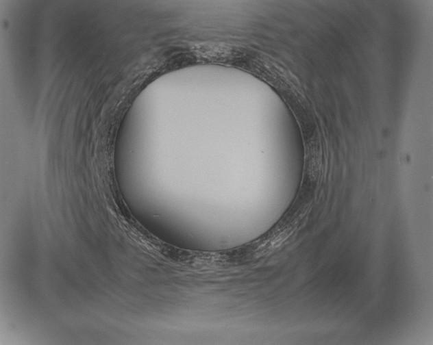 X0000080661345200612301325