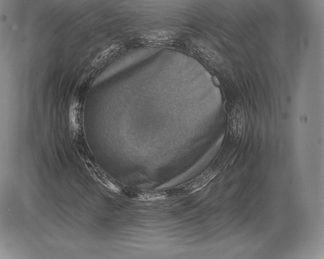 X0000080661346200612301325