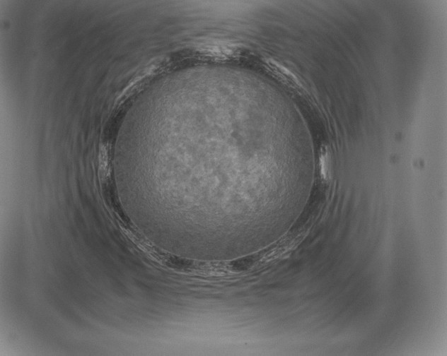X0000080661347200612301325