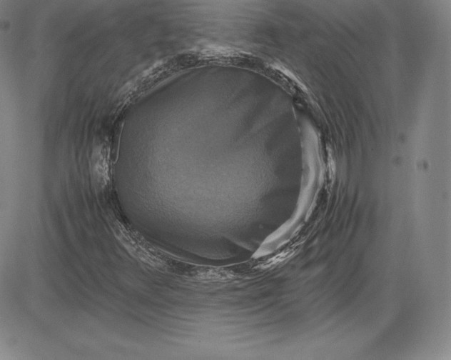 X0000080661348200612301325