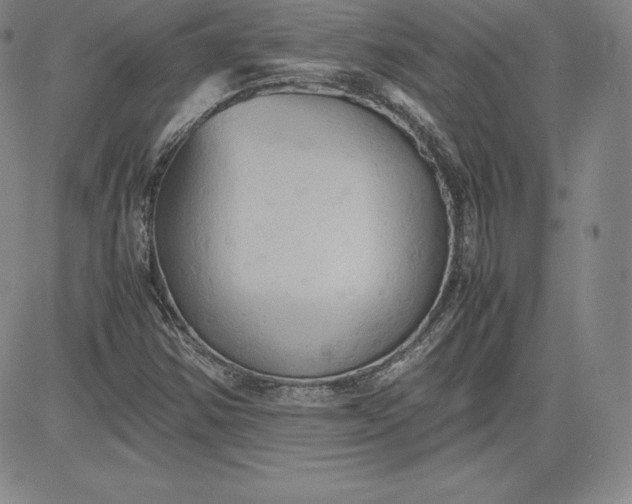 X0000080661354200612301325