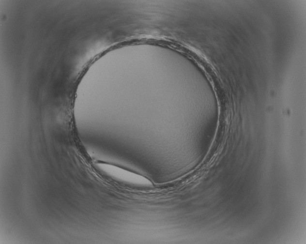 X0000080661359200612301325