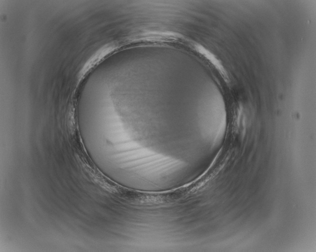 X0000080661362200612301325
