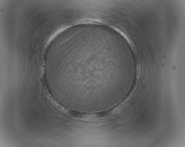 X0000080661363200612301325