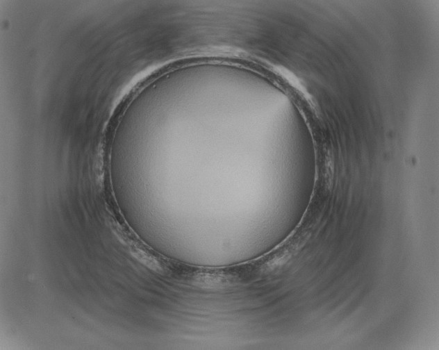 X0000080661364200612301325