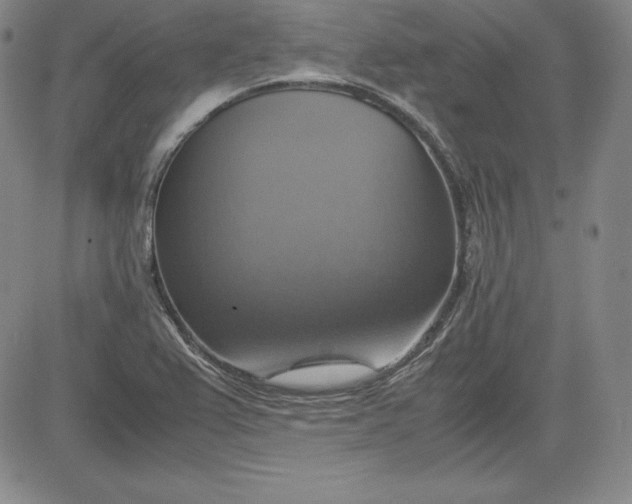 X0000080661367200612301325