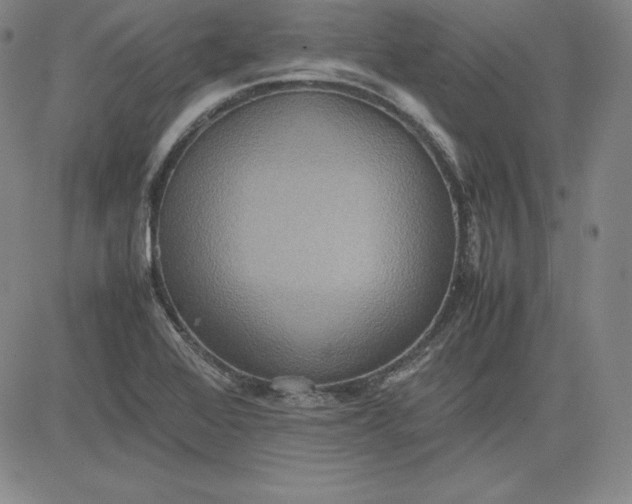X0000080661368200612301325