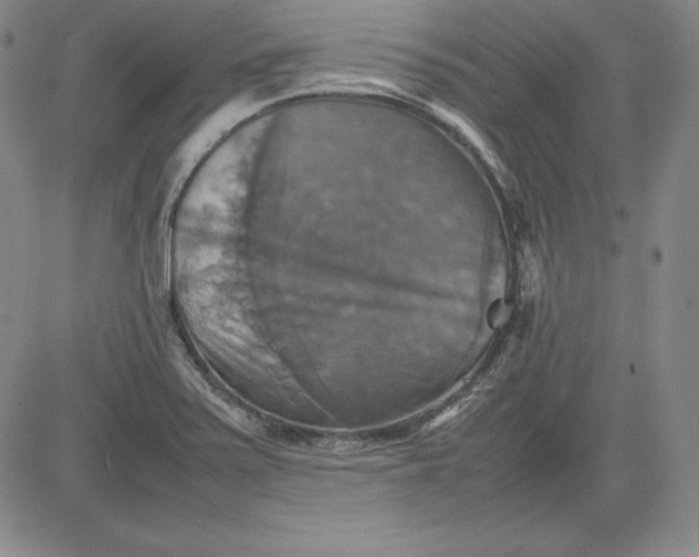 X0000080661371200612301325