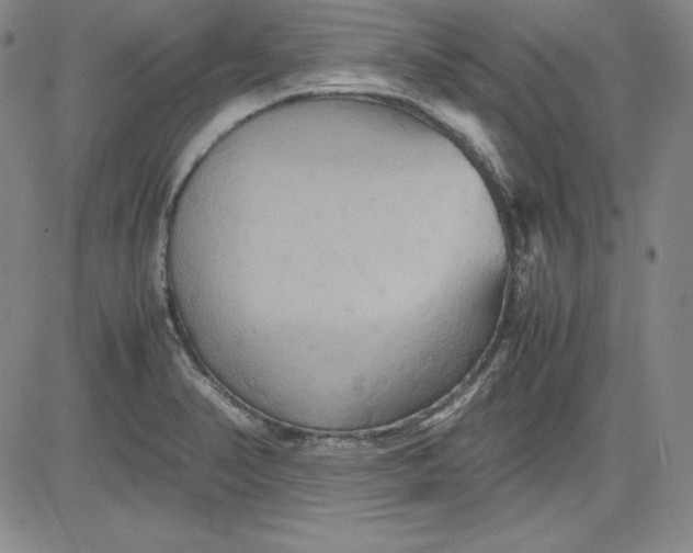 X0000080661374200612301325