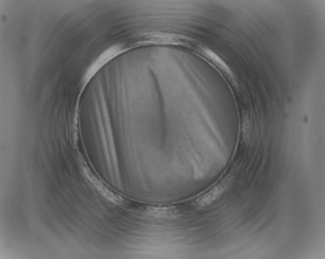 X0000080661378200612301325