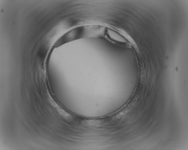 X0000080661380200612301324