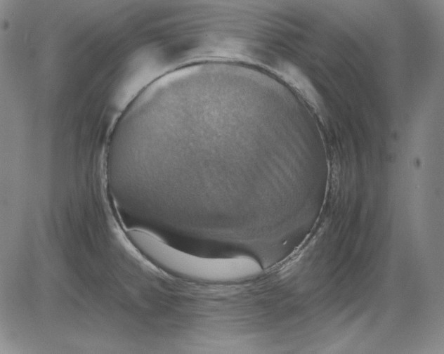 X0000080661382200612301324