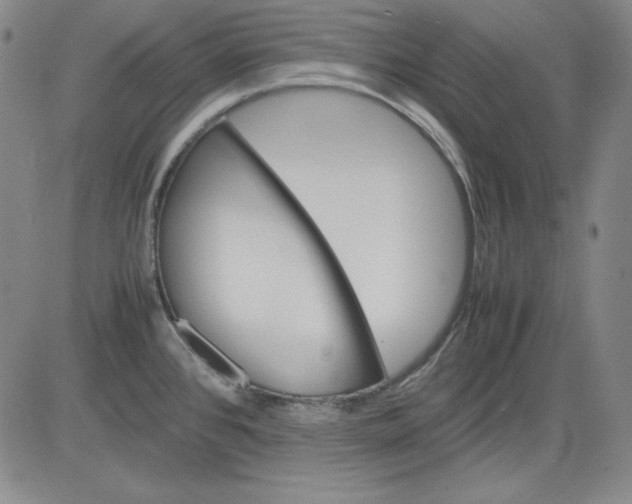 X0000080661384200612301324