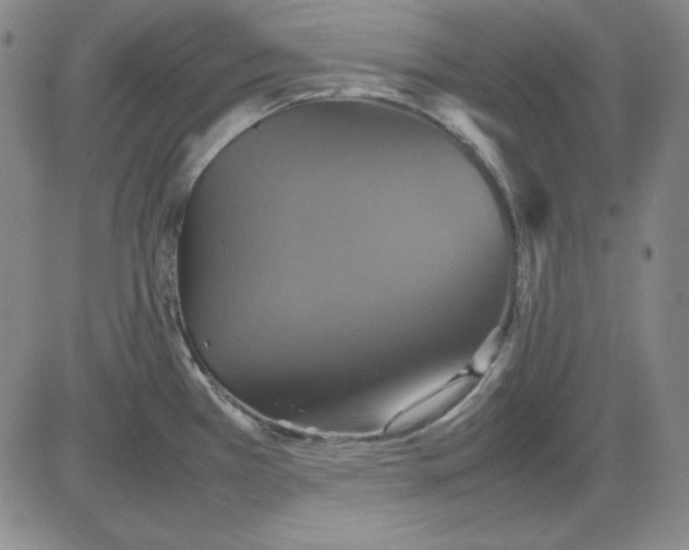 X0000080661385200612301324