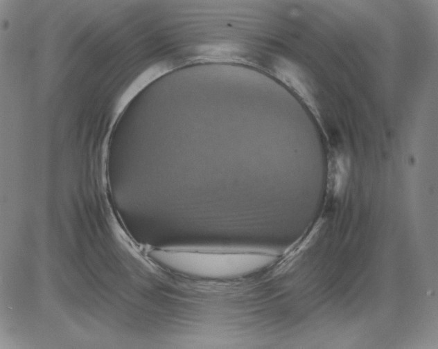 X0000080661386200612301324