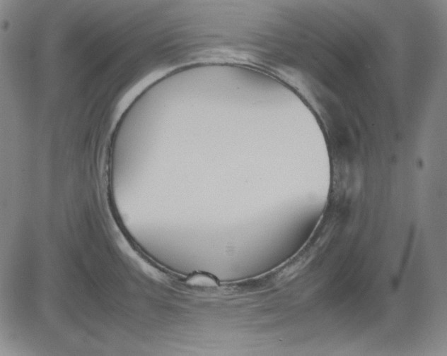 X0000080661387200612301324