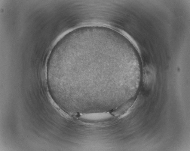 X0000080661388200612301324