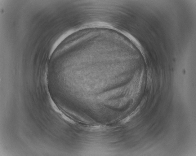 X0000080661390200612301324
