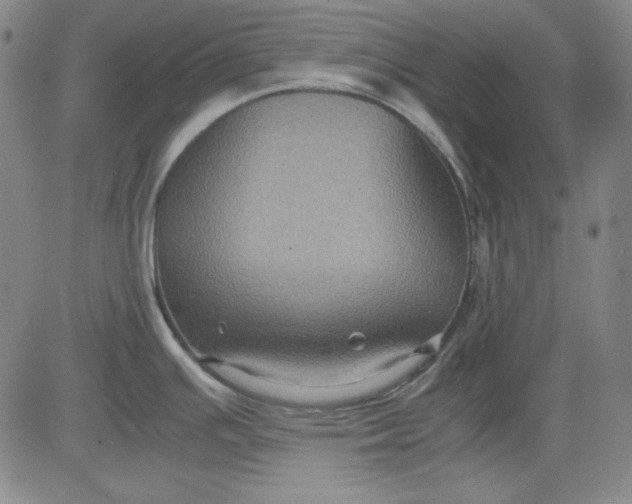 X0000080661391200612301324