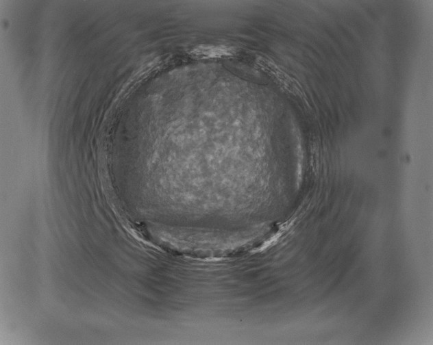 X0000080661393200612301324