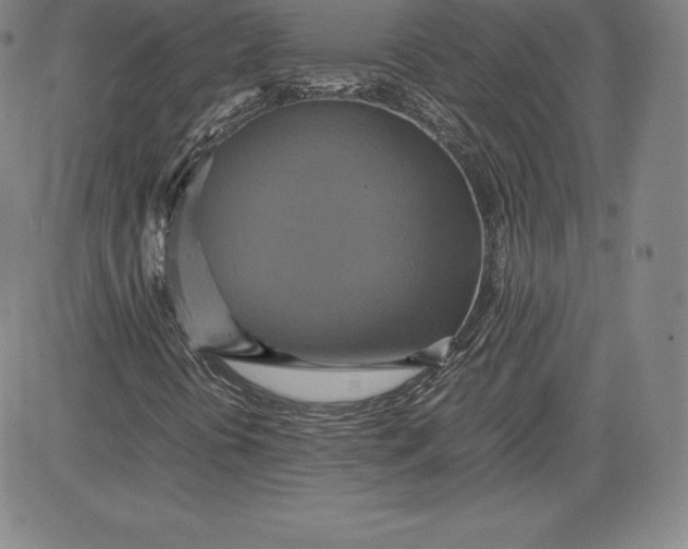 X0000080661394200612301324
