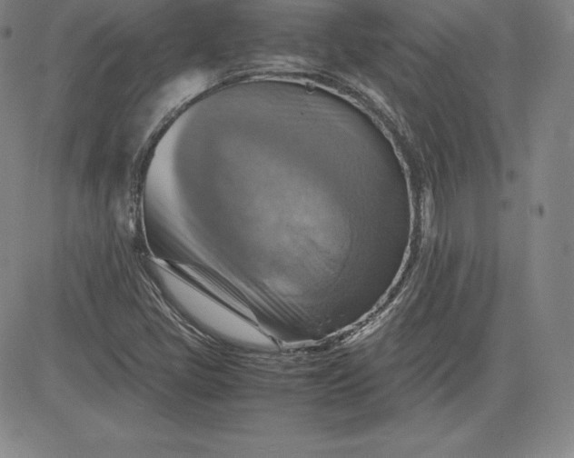 X0000080661405200612301324