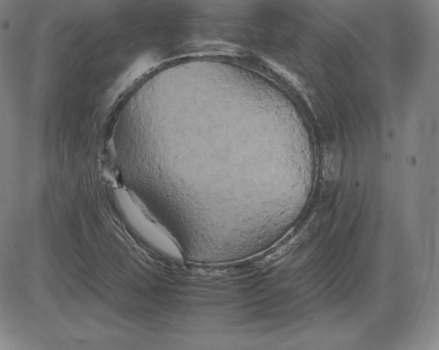 X0000080661407200612301324