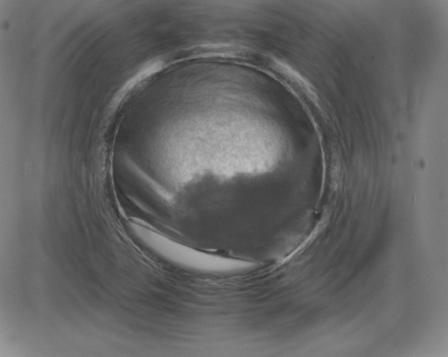 X0000080661411200612301324