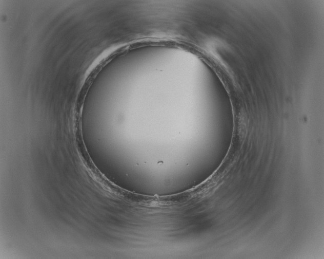 X0000080661412200612301324