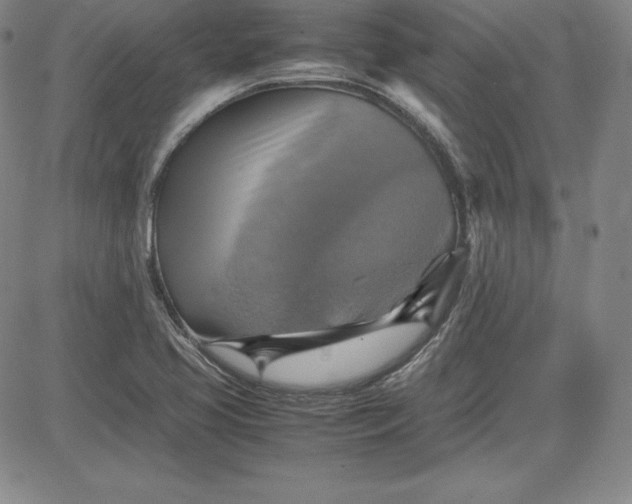 X0000080661413200612301324