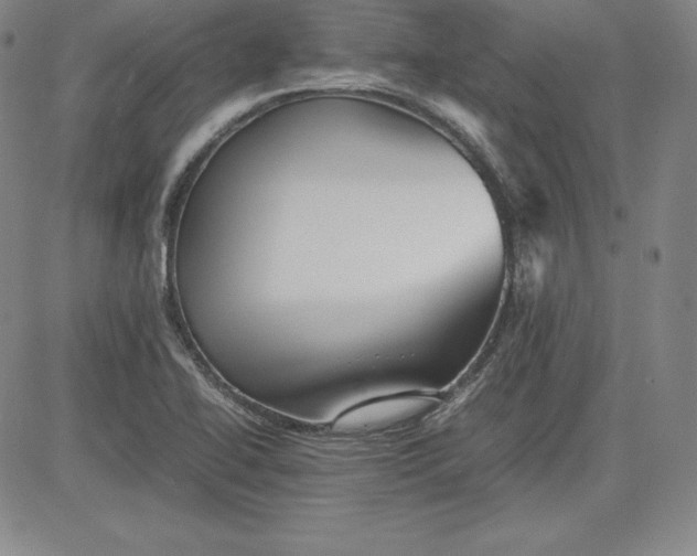X0000080661414200612301324