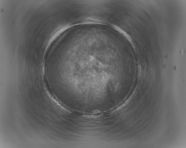 X0000080661415200612301324