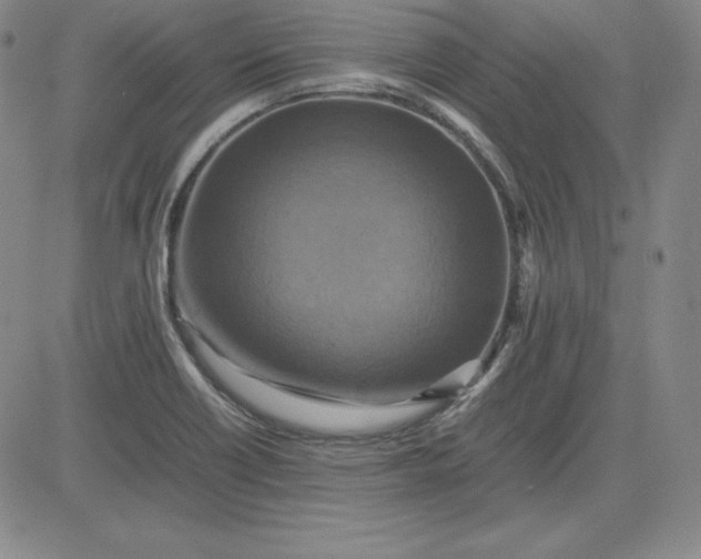 X0000080661418200612301324