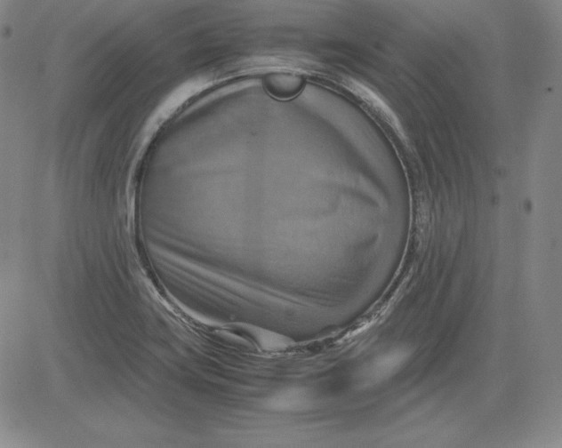 X0000080661419200612301324