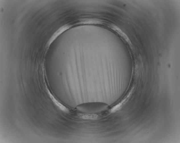 X0000080661425200612301324