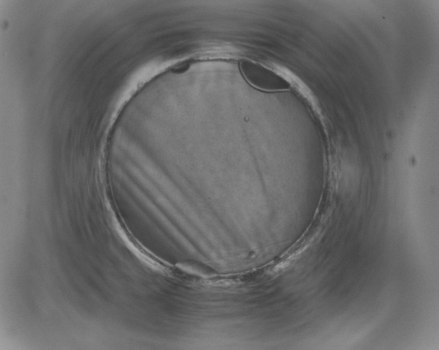 X0000080661429200612301324