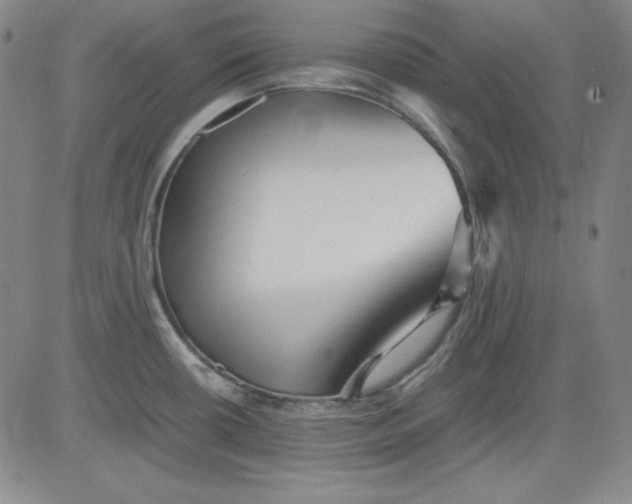 X0000080661434200612301324