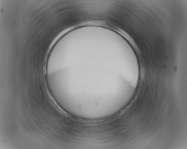 X0000080661436200612301324