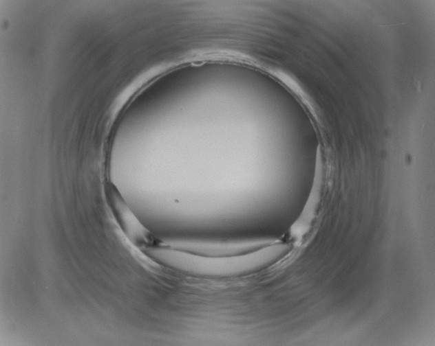 X0000080661438200612301324