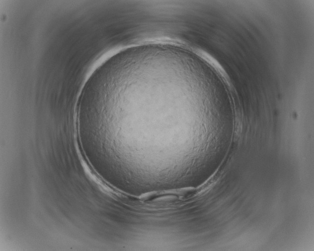 X0000080661439200612301324