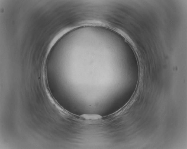 X0000080661440200612301324