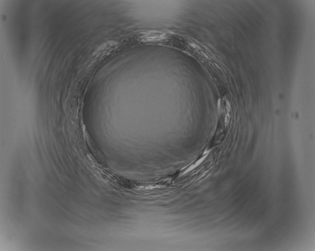 X0000080661441200612301323