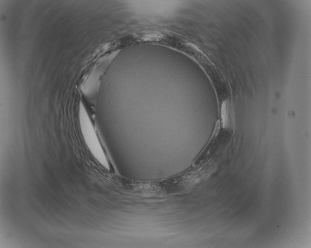 X0000080661443200612301323