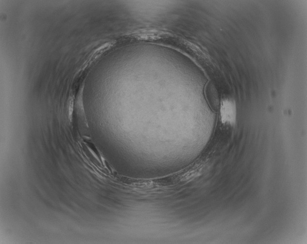 X0000080661444200612301323