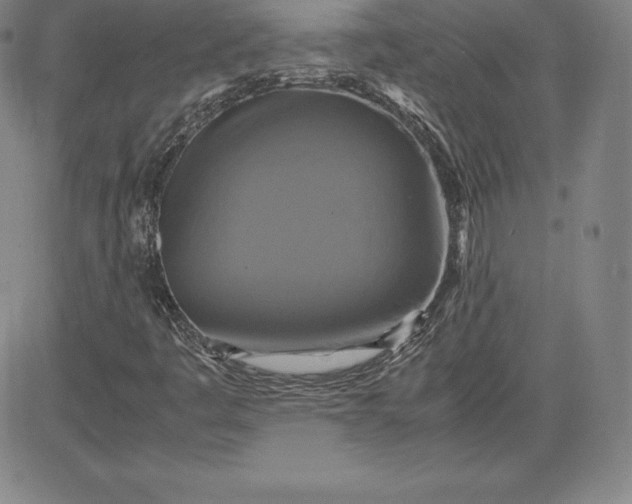 X0000080661445200612301323