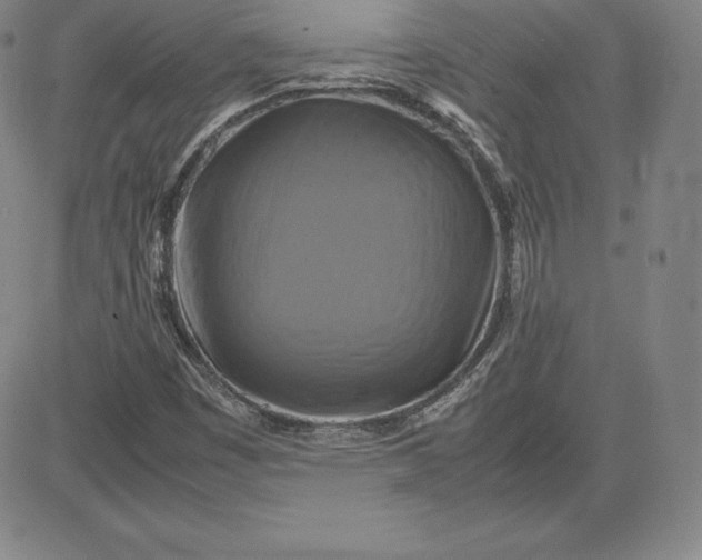 X0000080661449200612301323