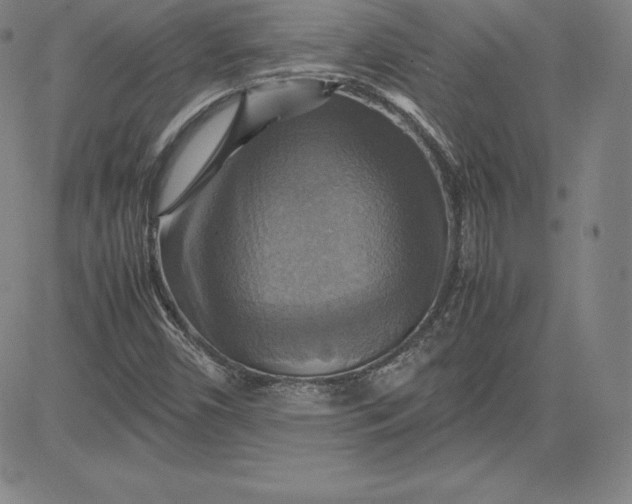 X0000080661450200612301323